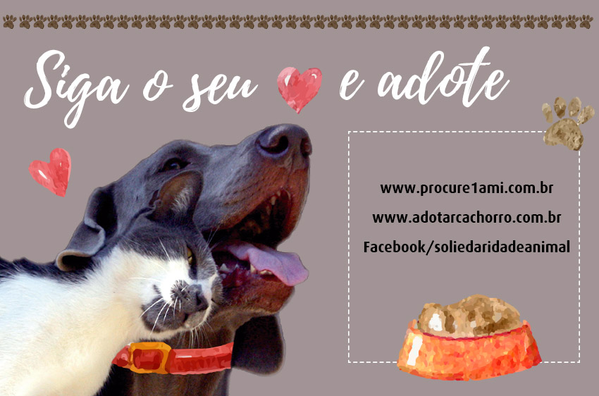 28010-2016-pet-adote-morarmais-rj